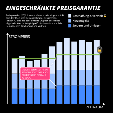 Ein Diagramm zeigt über 12 Persioden den Verlauf des Strompreises und erklärt anhand einer unveränderten Linie die Auswirkungen einer Preisgarantie.